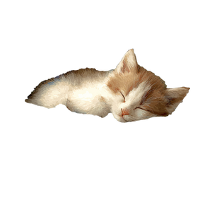 Sleeping Kitten V10 Vinyl Car Decal Sticker – Waterproof & UV-Resistant 3.4133333333333336"
