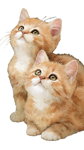 Cute Kittens Illustration Vinyl Car Decal Sticker – Waterproof & UV-Resistant 4.8533333333333335"