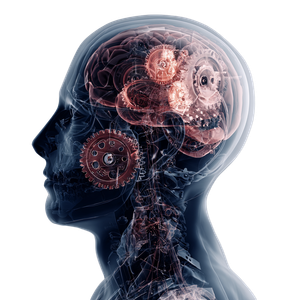 Mechanical Brain Head V3 Vinyl Car Decal Sticker – Waterproof & UV-Resistant 3.4133333333333336"