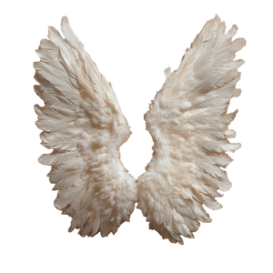 Angel Wings V19 Vinyl Car Decal Sticker – Waterproof & UV-Resistant 6.826666666666667"