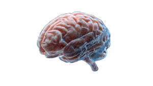 Floating Brain V2 Vinyl Car Decal Sticker – Waterproof & UV-Resistant 2.72"