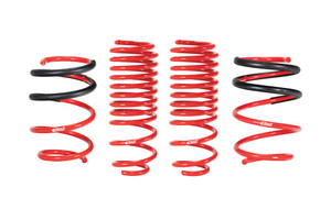 Race-Car Handling | Extreme Style | Lowering Kit for 2017-2020 Honda Civic Race-Car Handling | Extreme Style | Lowering Kit for 2017-2020 Honda Civic