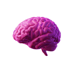 3D Brain Rendering Vinyl Car Decal Sticker – Waterproof & UV-Resistant 6.826666666666667"