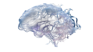 Holographic Brain V2 Vinyl Car Decal Sticker – Waterproof & UV-Resistant 5.4