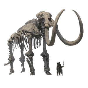 Mammoth Skeleton Vinyl Car Decal Sticker – Waterproof & UV-Resistant 3.4133333333333336" Mammoth Skeleton Vinyl Car Decal Sticker – Waterproof & UV-Resistant 3.4133333333333336"