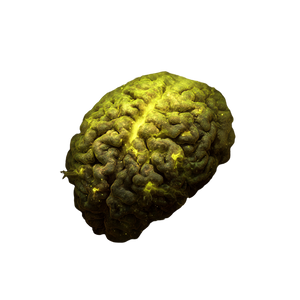 Glowing Brain Fungus Vinyl Car Decal Sticker – Waterproof & UV-Resistant 3.4133333333333336"