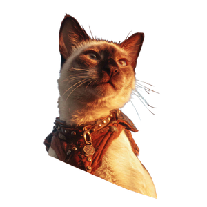 Pirate Siamese Cat V22 Vinyl Car Decal Sticker – Waterproof & UV-Resistant 6.826666666666667"