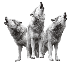 Scary Wolves Barking Vinyl Car Decal Sticker – Waterproof & UV-Resistant 3.4133333333333336" Scary Wolves Barking Vinyl Car Decal Sticker – Waterproof & UV-Resistant 3.4133333333333336"
