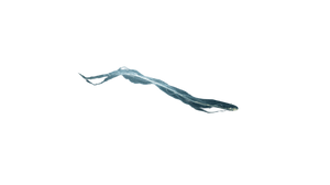 Deep-Sea Siphonophore Vinyl Car Decal Sticker – Waterproof & UV-Resistant 2.72"