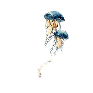 Deep Sea Jellyfish V2 Vinyl Car Decal Sticker – Waterproof & UV-Resistant 6.826666666666667"