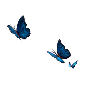 Blue Butterflies V2 Vinyl Car Decal Sticker – Waterproof & UV-Resistant 6.826666666666667"