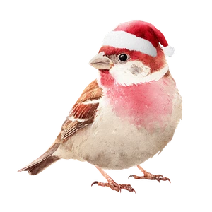 Santa Hat Bird Vinyl Car Decal Sticker – Waterproof & UV-Resistant 3.4133333333333336"