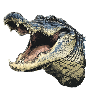 Roaring Alligator Head Vinyl Car Decal Sticker – Waterproof & UV-Resistant 3.4133333333333336" Roaring Alligator Head Vinyl Car Decal Sticker – Waterproof & UV-Resistant 3.4133333333333336"