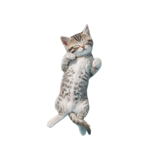 Sleeping Kitten Float Vinyl Car Decal Sticker – Waterproof & UV-Resistant 3.4133333333333336"