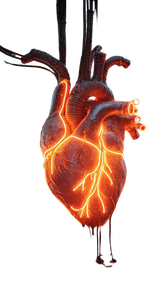 Neon Heart Anatomy Vinyl Car Decal Sticker – Waterproof & UV-Resistant 9.706666666666667"