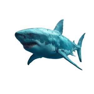 3D Realistic Shark Vinyl Car Decal Sticker – Waterproof & UV-Resistant 3.4133333333333336"