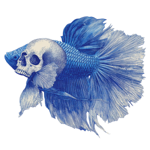 Skull-Faced Beta Fish Vinyl Car Decal Sticker – Waterproof & UV-Resistant 3.4133333333333336"