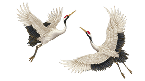 Flying White Cranes V3 Vinyl Car Decal Sticker – Waterproof & UV-Resistant 5.4