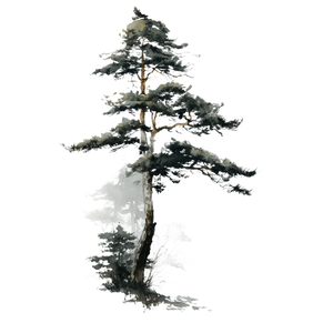 Japanese Pine Tree V4 Vinyl Car Decal Sticker – Waterproof & UV-Resistant 6.826666666666667"