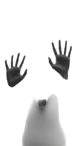 Eerie Hands And Face Vinyl Car Decal Sticker – Waterproof & UV-Resistant 9.706666666666667"