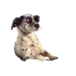 Dog With Sunglasses V3 Vinyl Car Decal Sticker – Waterproof & UV-Resistant 3.4133333333333336"