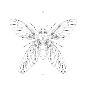 Simple Cicada Line Vinyl Car Decal Sticker – Waterproof & UV-Resistant 3.4133333333333336"