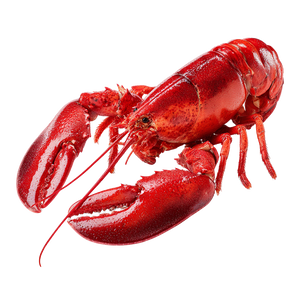 Lobster Vinyl Car Decal Sticker – Waterproof & UV-Resistant 3.4133333333333336"
