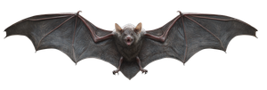 Vampire Bat Art Vinyl Car Decal Sticker – Waterproof & UV-Resistant 2.1333333333333333"