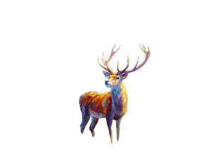Fantasy Autumn Deer Vinyl Car Decal Sticker – Waterproof & UV-Resistant 6.