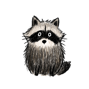 Doodle Raccoon V2 Vinyl Car Decal Sticker – Waterproof & UV-Resistant 3.4133333333333336"