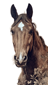 Horse Tattoo Concept Vinyl Car Decal Sticker – Waterproof & UV-Resistant 4.8533333333333335"