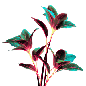 Neon Flower Plants V2 Vinyl Car Decal Sticker – Waterproof & UV-Resistant 6.826666666666667"