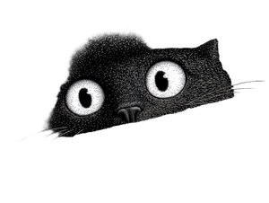 Black Cat V66 Vinyl Car Decal Sticker – Waterproof & UV-Resistant 6.1866666666666665"