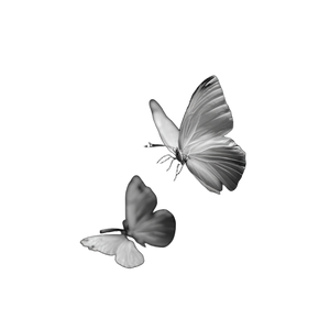 White Butterflies Flying Vinyl Car Decal Sticker – Waterproof & UV-Resistant 3.4133333333333336"