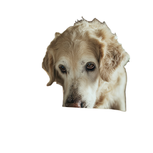 Dog Drinking Water V3 Vinyl Car Decal Sticker – Waterproof & UV-Resistant 3.4133333333333336"
