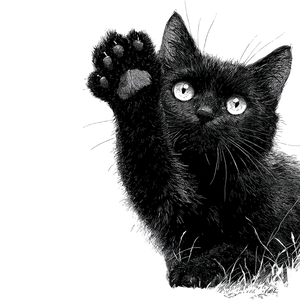 Ink Heart Cat Vinyl Car Decal Sticker – Waterproof & UV-Resistant 3.4133333333333336"