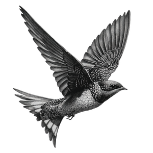 Flying Swallow Art V2 Vinyl Car Decal Sticker – Waterproof & UV-Resistant 3.4133333333333336"