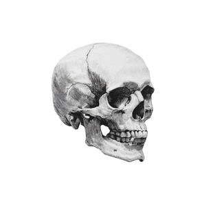 Minimalist Skull Drawing V2 Vinyl Car Decal Sticker – Waterproof & UV-Resistant 3.4133333333333336"