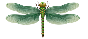 Dragonfly Emoji Vinyl Car Decal Sticker – Waterproof & UV-Resistant 2.453333333333333"