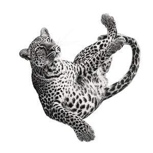 Playful Leopard Pose Vinyl Car Decal Sticker – Waterproof & UV-Resistant 3.4133333333333336"