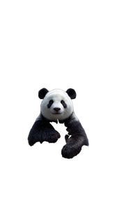 Panda On Kunlun Vinyl Car Decal Sticker – Waterproof & UV-Resistant 4.8533333333333335"