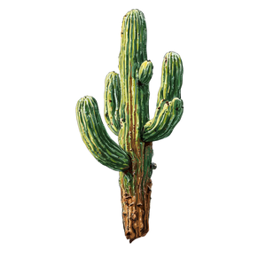 Desert Cactus Illustration Vinyl Car Decal Sticker – Waterproof & UV-Resistant 6.826666666666667" Desert Cactus Illustration Vinyl Car Decal Sticker – Waterproof & UV-Resistant 6.826666666666667"