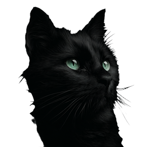 Black Cat V68 Vinyl Car Decal Sticker – Waterproof & UV-Resistant 3.4133333333333336"