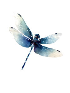 Distant Dragonfly Illustration Vinyl Car Decal Sticker – Waterproof & UV-Resistant 8.213333333333333"