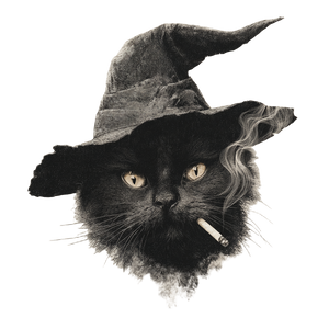 Witch Cat V10 Vinyl Car Decal Sticker – Waterproof & UV-Resistant 3.4133333333333336"