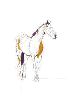 Colorful Line Horse Vinyl Car Decal Sticker – Waterproof & UV-Resistant 4.266666666666667"
