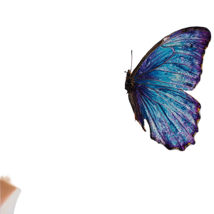 Girl With Butterfly V6 Vinyl Car Decal Sticker – Waterproof & UV-Resistant 3.4133333333333336"
