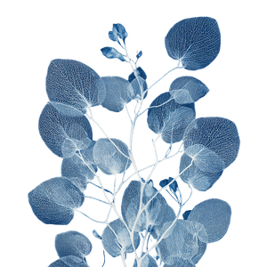 Ethereal Botanical Cyanotype Vinyl Car Decal Sticker – Waterproof & UV-Resistant 3.4133333333333336"