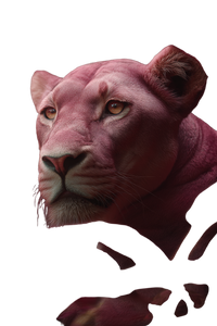 Pink Chameleon Vinyl Car Decal Sticker – Waterproof & UV-Resistant 4.4