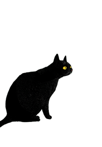 Black Cat Drinking V4 Vinyl Car Decal Sticker – Waterproof & UV-Resistant 4.373333333333333"